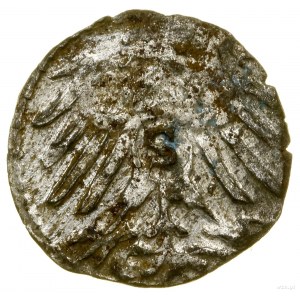 Denar, 1560, Królewiec; Kop. 3755 (R4), Slg Marienburg ...