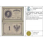 1 złoty, 28.02.1919; seria 19 G, numeracja 099,557; Luc...