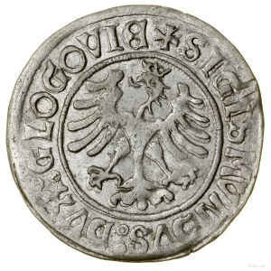 Grosz, no date (1505), Glogow; Av: Crowned eagle, + ...