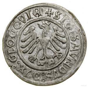Grosz, 1506, Glogow; Av: Eagle in crown, + SIGISMVNDVS....