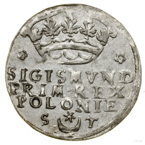 Grosz, 1546, Kraków; rosettes on the sides of the crown, on the sides of the...