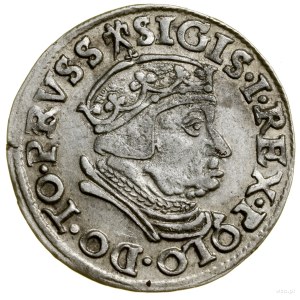 Trojak, 1538, Gdansk; in the obverse legend TO PRVSS, in the le...