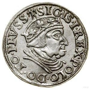 Trojak, 1538, Gdansk; in the obverse legend TO PRVSS, in the le...