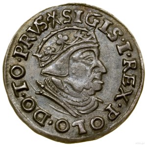 Trojak, 1539, Gdańsk; na awersie końcówka legendy PRVS,...