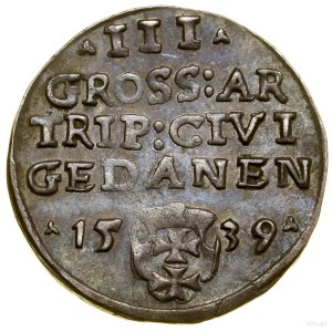 Trojak, 1539, Gdańsk; na awersie końcówka legendy PRVS,...