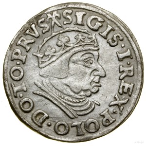 Trojak, 1539, Danzig; na averze koniec legendy PRVS,...