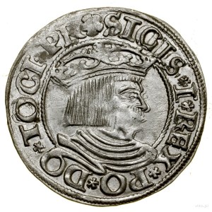 Grosz, 1534, Gdansk; variety with obverse legend ending ...