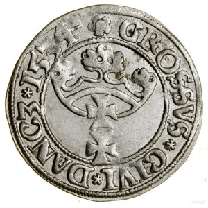 Grosz, 1534, Gdansk; variety with obverse legend ending ...