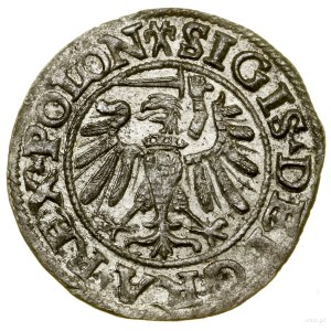 Sheląg, 1538, Gdansk; on the obverse the tip of the POLON legend....