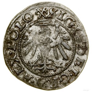 Sheląg, 1539, Gdansk; dátum písaný malými číslicami, v l...