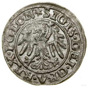 Sheląg, 1546, Gdansk; initial marks: on obverse star....