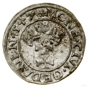 Sheląg, 1547, Gdansk; initial marks: on obverse star....
