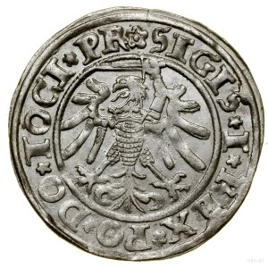 Grosz, 1534, Elblag; endings of legends PR / ELBINK; Białk...