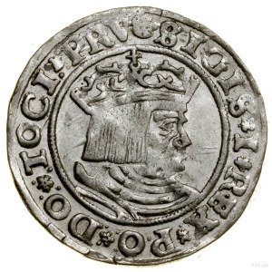 Grosz, 1530, Torun; ends of legends PRV / PRVSS, sword ...