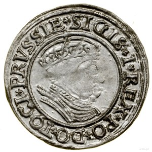 Penny, 1535, Torun; endings of legends PRVSSIE / PRVSSIE; ...