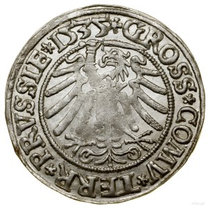 Penny, 1535, Torun; endings of legends PRVSSIE / PRVSSIE; ...