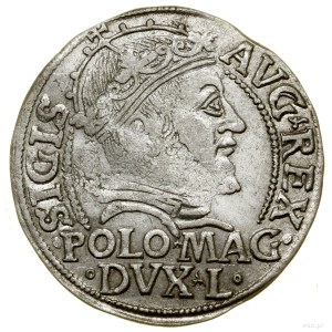 Polish foot penny, 1546, Vilnius; endings of legends L /...