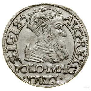 Polish foot penny, 1566, Tykocin; variety with coat of arms ...