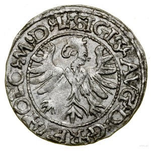 Halbpfennig, 1566, Tykocin; Endungen der Legenden L / LITV, var...