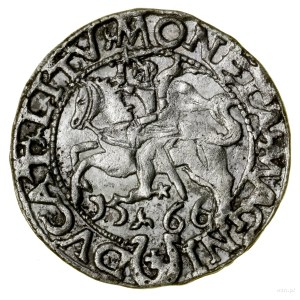 Halbpfennig, 1566, Tykocin; Endungen der Legenden L / LITV, var...