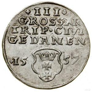 Trojak, 1557, Gdansk; a variety with a bust of the king in the perimeter....