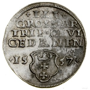 Trojak, 1557, Gdansk; a wide bust of the king without a border....