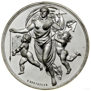 Commemorative medal of the National Exhibition in Lviv, 1894, Lviv...