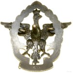 55th Infantry Regiment - officer commemorative badge, from 19...