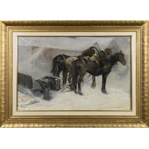 Stanisław KARNIEWSKI (1901-1948), Sanie na stope, 1924