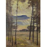 Henryk PLICH (1904-1986), Widok na wioskę