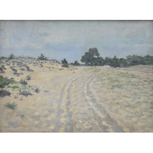 Jan Franciszek MACHNIEWICZ (1859-1897), Piaski - studium
