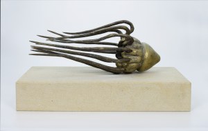Eduard PETRASHESHYN (ur. 1994), Meduza, 2020