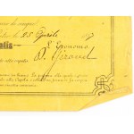 Lotto documenti pontifici PIO IX