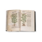 BOCK, Hieronymus (1498-1554): De stirpivm, maxime, earvm