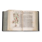 BOCK, Hieronymus (1498-1554): De stirpivm, maxime, earvm