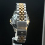 ROLEX MODEL GMT-MASTER II 16713 D