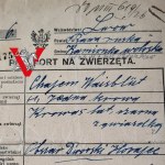 JUDAIKA, Chajm Waisbutt, Lwów 1926, Paszport na Zwierzęta, Ciekawy Dokument