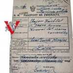 JUDAIKA, Chajm Waisbutt, Lwów 1926, Paszport na Zwierzęta, Ciekawy Dokument