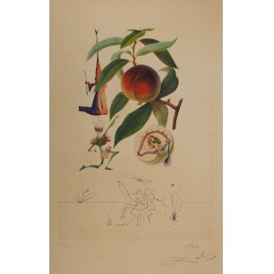 Salvador Dalí (1904-1989), Flordali, Pécheur Pénitent (Penitent Peach) 1969