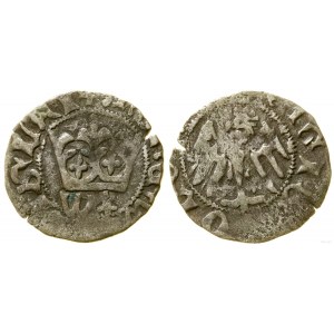 Poľsko, korunový polgroš, (1413-1414), Krakov
