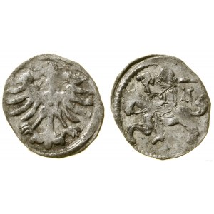 Pologne, denier, Vilnius