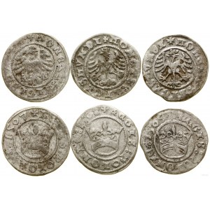 Poland, lot 3 x half-penny, 1507, 1508, 1509, Krakow