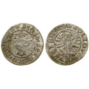 Poland, sheląg, 1529, Toruń