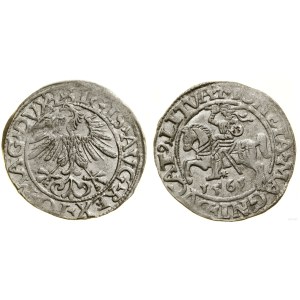 Pologne, demi-penny, 1561, Vilnius