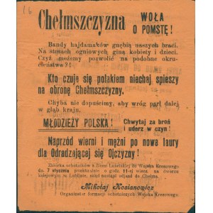 Chełmszczyzna woła o pomstę! - obrona Chełmszczyzny [Lublin początek stycznia 1919 roku; przed 07.01.]