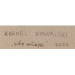 Kornel Kowalski (ur. 1985, Gdynia), Life on Capri, 2024