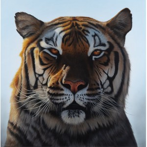 Kornel Mierzejewski (ur. 1997, Toruń), tiger_02, 2024