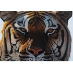 Kornel Mierzejewski (ur. 1997, Toruń), tiger_02, 2024