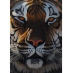 Kornel Mierzejewski (ur. 1997, Toruń), tiger_02, 2024