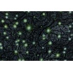 Adrianna Aszurkiewicz (b. 1994, Lubin), Dark Matter, 2023